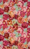 Bed of Roses